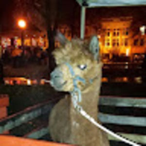 Meet your Posher, Heatheranne